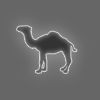CamelCollectors avatar Vladimir Severinov
