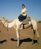 Avatar Gert