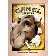 CamelCollectors avatar Leopoldo Lopez