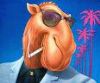 CamelCollectors avatar Pablo Andr�s Pedretti