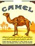 CamelCollectors https://thecamelcollectors.com/assets/images/pack-preview/AE-002-01.jpg