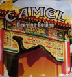 CamelCollectors https://thecamelcollectors.com/assets/images/pack-preview/AR-028-14.jpg