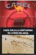 CamelCollectors https://thecamelcollectors.com/assets/images/pack-preview/AR-048-43-68820bf56adbb.jpg