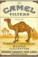 CamelCollectors https://thecamelcollectors.com/assets/images/pack-preview/AU-001-04.jpg