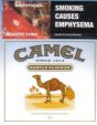 CamelCollectors https://thecamelcollectors.com/assets/images/pack-preview/AU-003-03.jpg
