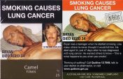 CamelCollectors https://thecamelcollectors.com/assets/images/pack-preview/AU-004-01.jpg