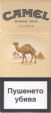 CamelCollectors https://thecamelcollectors.com/assets/images/pack-preview/BG-003-02.jpg