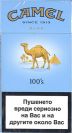 CamelCollectors https://thecamelcollectors.com/assets/images/pack-preview/BG-003-04.jpg