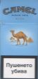 CamelCollectors https://thecamelcollectors.com/assets/images/pack-preview/BG-003-06.jpg