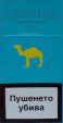 CamelCollectors https://thecamelcollectors.com/assets/images/pack-preview/BG-005-04.jpg