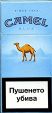 CamelCollectors https://thecamelcollectors.com/assets/images/pack-preview/BG-007-08.jpg