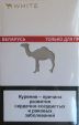 CamelCollectors https://thecamelcollectors.com/assets/images/pack-preview/BY-003-56.jpg