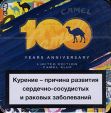 CamelCollectors https://thecamelcollectors.com/assets/images/pack-preview/BY-008-02.jpg