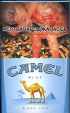 CamelCollectors https://thecamelcollectors.com/assets/images/pack-preview/BY-008-42.jpg