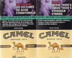 CamelCollectors https://thecamelcollectors.com/assets/images/pack-preview/CA-004-50.jpg