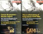CamelCollectors https://thecamelcollectors.com/assets/images/pack-preview/CA-006-03.jpg