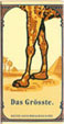 CamelCollectors https://thecamelcollectors.com/assets/images/pack-preview/CH-010-11.jpg