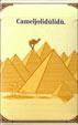CamelCollectors https://thecamelcollectors.com/assets/images/pack-preview/CH-011-01.jpg