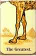 CamelCollectors https://thecamelcollectors.com/assets/images/pack-preview/CH-011-04.jpg