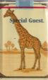 CamelCollectors https://thecamelcollectors.com/assets/images/pack-preview/CH-011-05.jpg