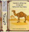 CamelCollectors https://thecamelcollectors.com/assets/images/pack-preview/DE-012-07.jpg