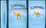 CamelCollectors https://thecamelcollectors.com/assets/images/pack-preview/DF-065-07.jpg