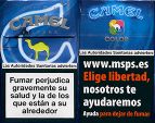 CamelCollectors https://thecamelcollectors.com/assets/images/pack-preview/DF-067-01.jpg