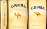CamelCollectors https://thecamelcollectors.com/assets/images/pack-preview/DF-070-27.jpg