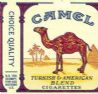 CamelCollectors https://thecamelcollectors.com/assets/images/pack-preview/DF-100-11.jpg