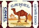 CamelCollectors https://thecamelcollectors.com/assets/images/pack-preview/DF-100-23.jpg