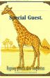 CamelCollectors https://thecamelcollectors.com/assets/images/pack-preview/DK-005-04.jpg
