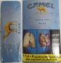 CamelCollectors Egypt