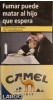 CamelCollectors https://thecamelcollectors.com/assets/images/pack-preview/ES-065-04-6ac8fda230bca.jpg