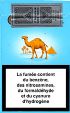 CamelCollectors https://thecamelcollectors.com/assets/images/pack-preview/FR-006-18.jpg