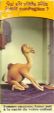 CamelCollectors https://thecamelcollectors.com/assets/images/pack-preview/FR-020-16.jpg