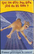 CamelCollectors https://thecamelcollectors.com/assets/images/pack-preview/FR-023-12.jpg