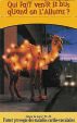 CamelCollectors https://thecamelcollectors.com/assets/images/pack-preview/FR-024-15.jpg