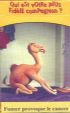 CamelCollectors https://thecamelcollectors.com/assets/images/pack-preview/FR-024-25.jpg