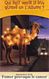 CamelCollectors https://thecamelcollectors.com/assets/images/pack-preview/FR-025-06.jpg