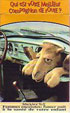 CamelCollectors https://thecamelcollectors.com/assets/images/pack-preview/FR-025-12.jpg