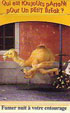 CamelCollectors https://thecamelcollectors.com/assets/images/pack-preview/FR-026-02.jpg