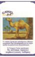 CamelCollectors https://thecamelcollectors.com/assets/images/pack-preview/GR-010-10.jpg