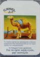 CamelCollectors https://thecamelcollectors.com/assets/images/pack-preview/GR-010-18.jpg