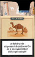 CamelCollectors https://thecamelcollectors.com/assets/images/pack-preview/HU-012-01.jpg