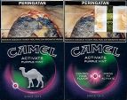 CamelCollectors https://thecamelcollectors.com/assets/images/pack-preview/ID-002-09.jpg
