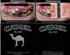 CamelCollectors https://thecamelcollectors.com/assets/images/pack-preview/ID-002-21.jpg