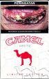 CamelCollectors https://thecamelcollectors.com/assets/images/pack-preview/ID-003-01.jpg