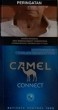 CamelCollectors https://thecamelcollectors.com/assets/images/pack-preview/ID-006-09-6867b4abb2174.jpg