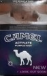 CamelCollectors https://thecamelcollectors.com/assets/images/pack-preview/ID-006-15-6867b5435e824.jpg