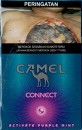 CamelCollectors https://thecamelcollectors.com/assets/images/pack-preview/ID-006-22-6a4389a8dee3a.jpg